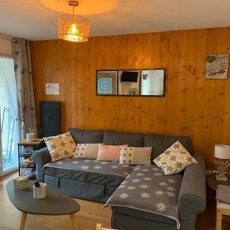 Appartement Tt Confort Au Coeur Des Montagnes Avec Vue Sur Les Montagnes Wifi Люс-Сен-Совер Екстериор снимка