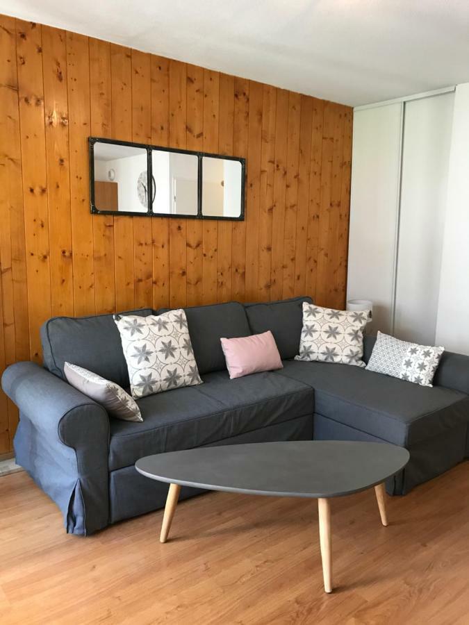 Appartement Tt Confort Au Coeur Des Montagnes Avec Vue Sur Les Montagnes Wifi Люс-Сен-Совер Екстериор снимка