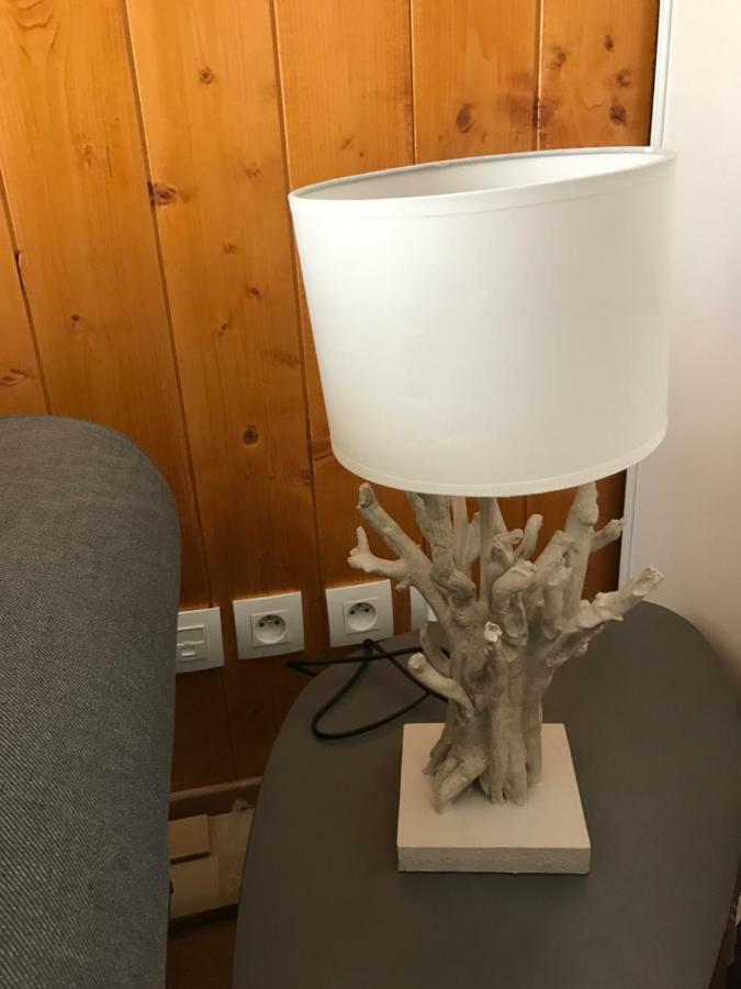 Appartement Tt Confort Au Coeur Des Montagnes Avec Vue Sur Les Montagnes Wifi Люс-Сен-Совер Екстериор снимка