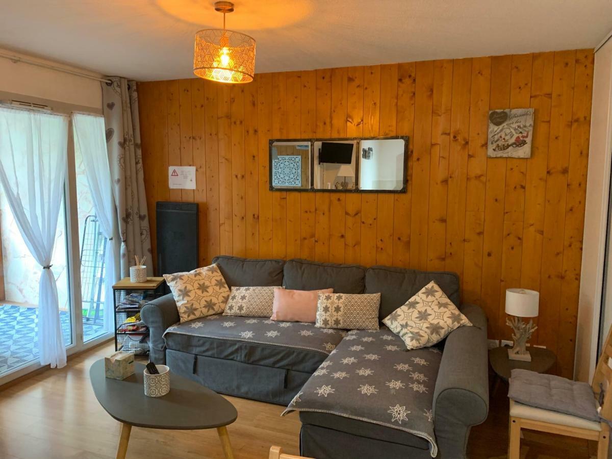Appartement Tt Confort Au Coeur Des Montagnes Avec Vue Sur Les Montagnes Wifi Люс-Сен-Совер Екстериор снимка
